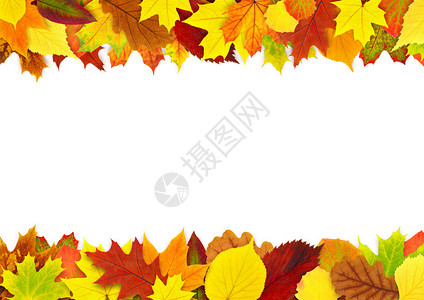五颜六色的秋叶边框上白色孤立图片