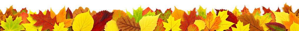 五颜六色的秋叶边框上白色孤立图片