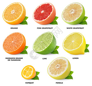 柑橘类水果上白色孤立的集合图片