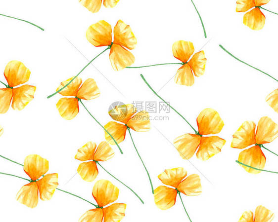 黄色金莲花图案水彩图片