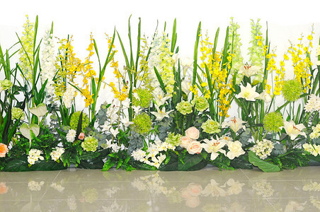 花卉背景春天的花朵背景图片