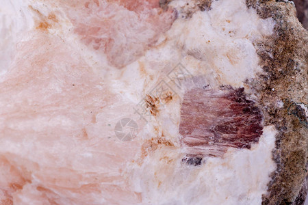 白色背景上的宏观矿物石玉髓图片