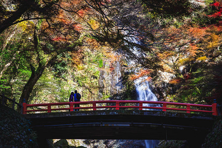 秋天的箕面瀑布日本大阪图片