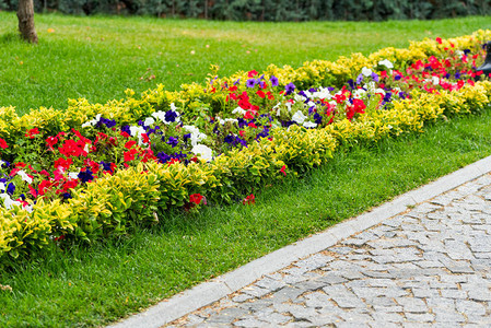 城市景观公园中装饰花朵和鲜花及灌木图片