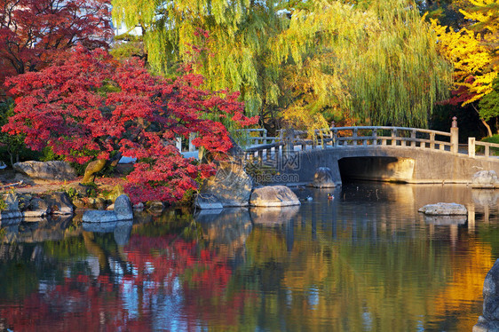 夏季日本风景图片