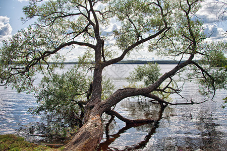 在瑞典斯德哥尔摩附近的一个湖中图片