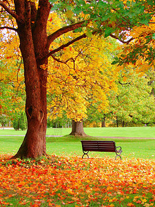 赫尔辛基公共花园的秋天图片