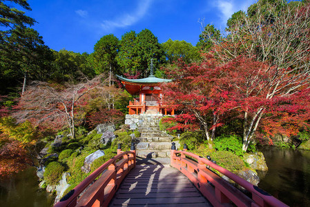 京都醍醐寺的红桥和神社与秋叶花园关西秋季著名的旅背景图片