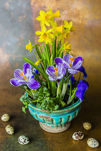 复活节装饰第一朵春天的花朵和鹌鹑蛋图片