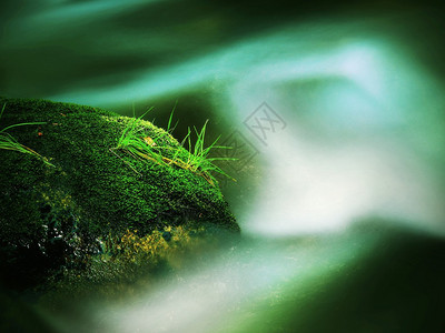 山河泡沫水中的鲜苔覆盖着大块被废弃的巨石图片