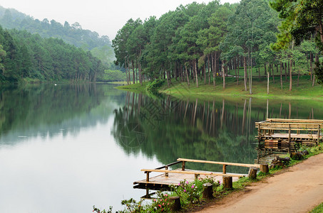 PangUng早上美丽的森林湖夜丰颂泰国人图片