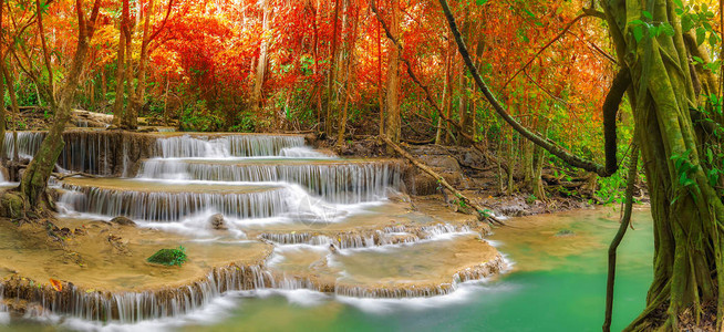 泰国Kanchanaburi的丰富多彩的秋天森林图片