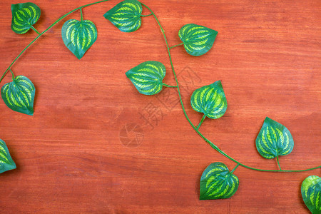 木桌上的绿色塑料叶子图片