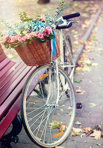 在长凳附近的公园里骑着一篮子鲜花的车图片