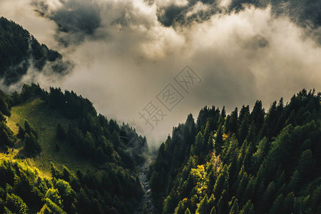 秋天大雾的早晨喀尔巴阡山峰罗马图片