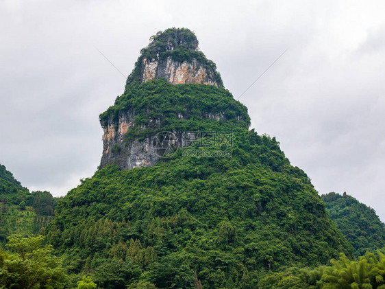 青平镇的卡斯特山峰和李河附近的牛群图片