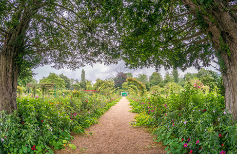 克洛德莫内花园夏天在法国诺图片