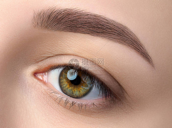 关闭美丽的绿色女眼睛的看法完美的时尚眉毛良好的视力隐形眼镜眉条或图片