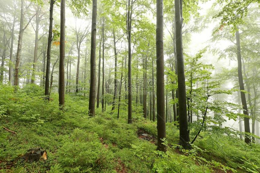 寒冷天气下比赛条件恶劣两队体能面临严峻考验