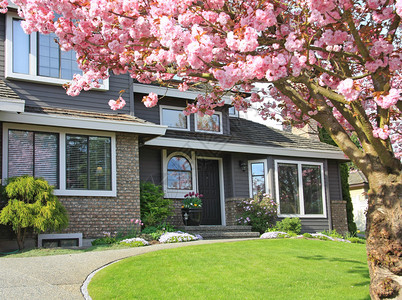 绿色家园图片图片