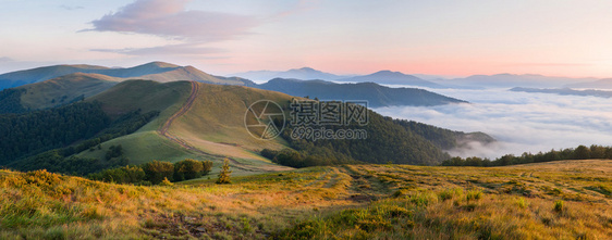 夏天在山上的雾海日出图片