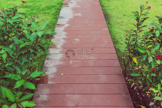 花园里雨后红褐色的木栈道图片