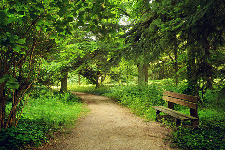 绿色公园木凳小路图片