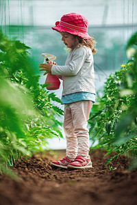 快乐的小女孩园丁在温室图片