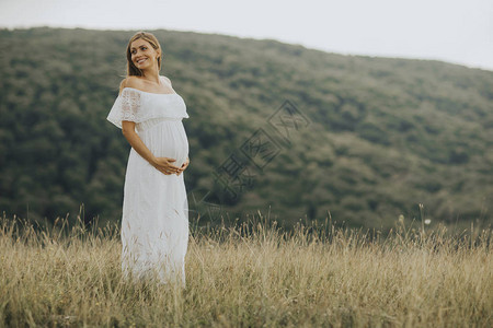 夏日在大自然外面放松的年轻孕妇在暑假休背景图片