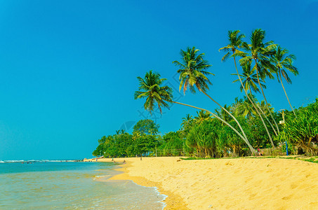 令人惊叹的奇异沙滩景色蓝天背景上图片