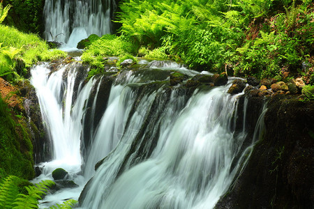 新鲜的绿色和瀑布白丝瀑布轻井泽长野日本图片