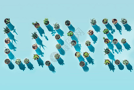 用蓝色的绿色盆栽植物制成的爱字的顶视图图片