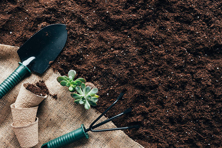园艺工具花盆和土壤上麻布绿色植图片