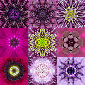 九种紫色同心花丛书集万花筒共心设计图片