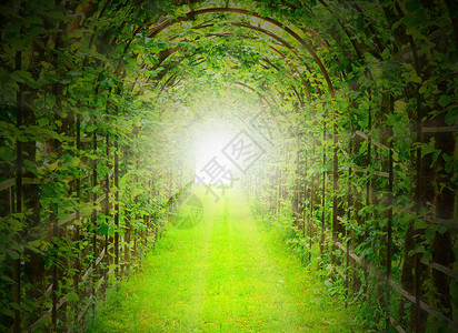 绿色隧道图片