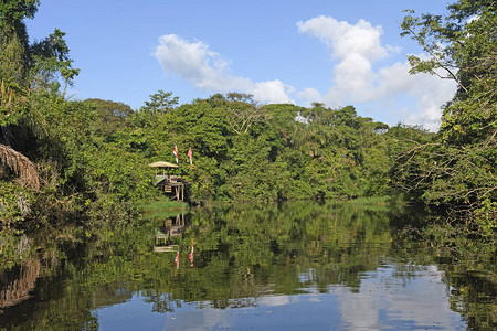 哥斯达黎加Tortuguero公园雨图片