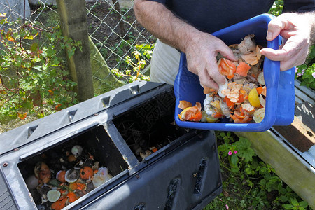 成熟的男人双手清空一个装满家庭食物垃圾的容器图片