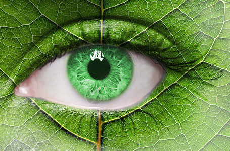 绿眼特写和脸上的叶子纹理生态概念图片