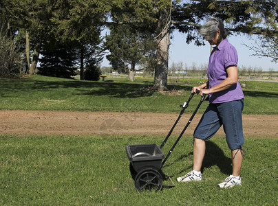 女人用撒布机给草坪施肥背景图片