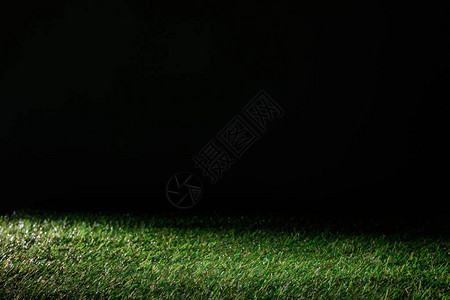 足球场与黑色花卉背景上的绿草背景图片