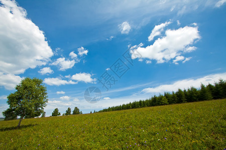 农村草原自然景图片