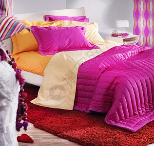 色彩缤纷的女卧室图片