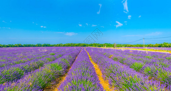 Luberon地区Luberon的图片