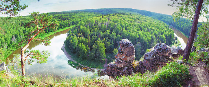 夏季西伯利亚针叶林景观全景图片