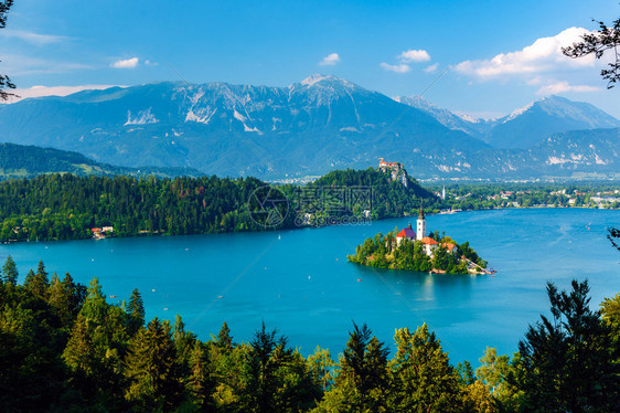Bled湖全景观斯洛图片