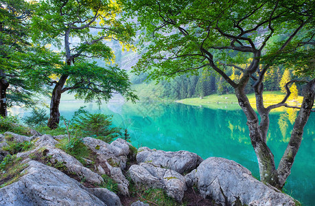 瑞士山谷的森林和湖泊图片