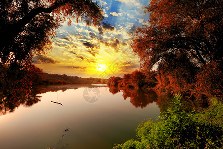 日落的夏日场景以美林背景为背景在河图片