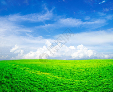 蓝天背景下的田野图片