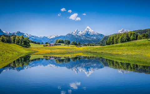 阿尔卑斯山丘的潮季夏风景全图片