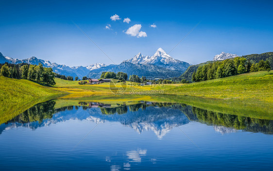 阿尔卑斯山丘的潮季夏风景全图片